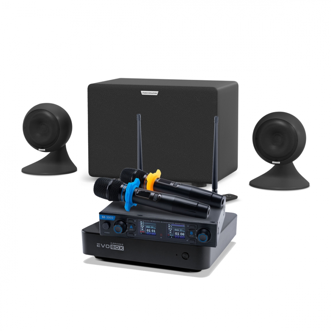 караоке-комплект EVOBOX + EvoSound Sphere 2.1 в Тимашевске