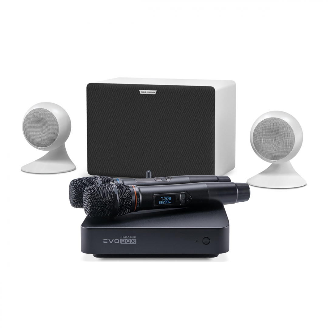 караоке-комплект EVOBOX Classic + EvoSound Sphere 2.1 в Тимашевске